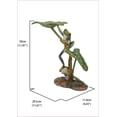 thumbnail image 2 of LOTUS LEAF WITH RED-EYED TREE FROG, 2 of 2