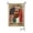 D, variant on 250 Anniversary USA Flag USA Canada Mexico Argentina United by Soccer Outdoor Yard Flag Double Sided Burlap Decorative Flag