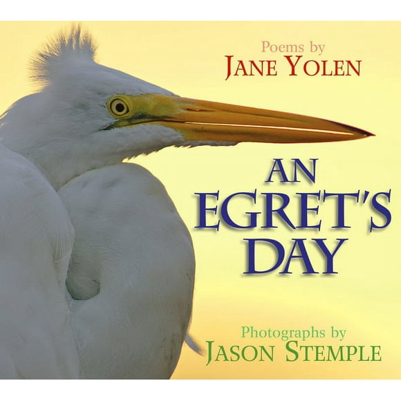 An Egret's Day (Hardcover)