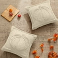 thumbnail image 5 of Fall Pumpkin Throw Pillow Covers, 18x18 Inch Autumn Thanksgiving Harvest Decoration Soft Plush Faux Fur Jacquard Cushion Case for Sofa Couch Set of 2, 5 of 5