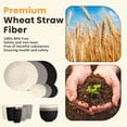 thumbnail image 4 of Homienly Wheat Straw Plates and Bowls Set, Lightweight & Unbreakable Dinnerware Set for Kitchen, Parties, Holidays, Microwave and Dishwasher Safe Dish Set - Plate Sets, Bowls, Cups, 24pcs, 4 of 7