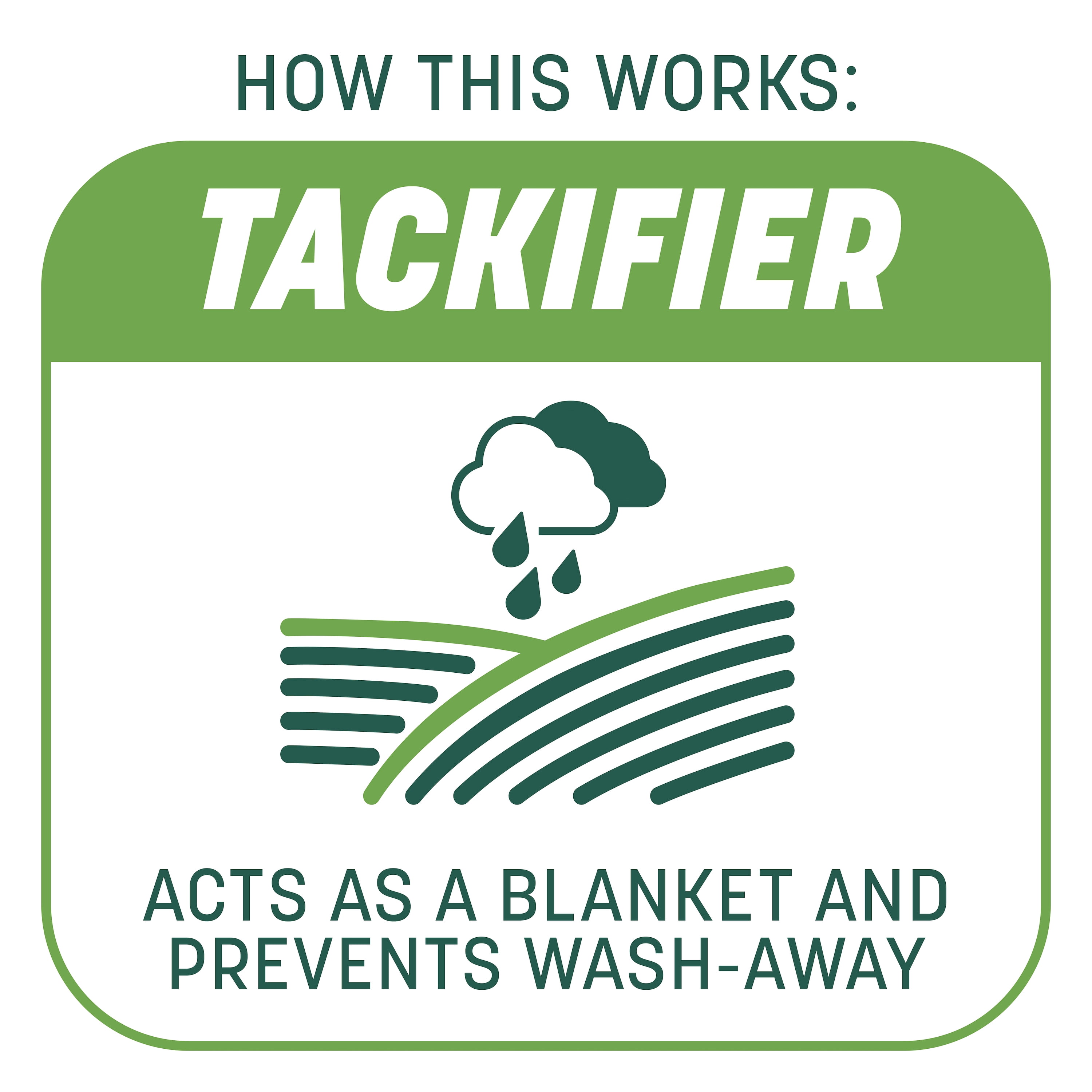 Pennington Smart Patch Tall Fescue Grass Seed Mix, for Sun