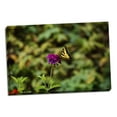 thumbnail image 2 of Gango Home Decor Garden Butterfly I by Philip Clayton Thompson (Ready to Hang); One 36x24in Hand-Stretched Canvas, 2 of 4