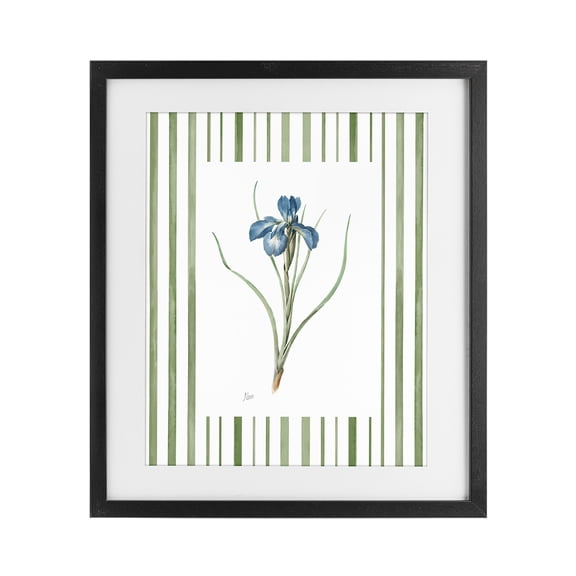 Stupell Industries Traditional Spring Iris And Stripes Black Framed Print Under Glass, 13 x 16, by Nan