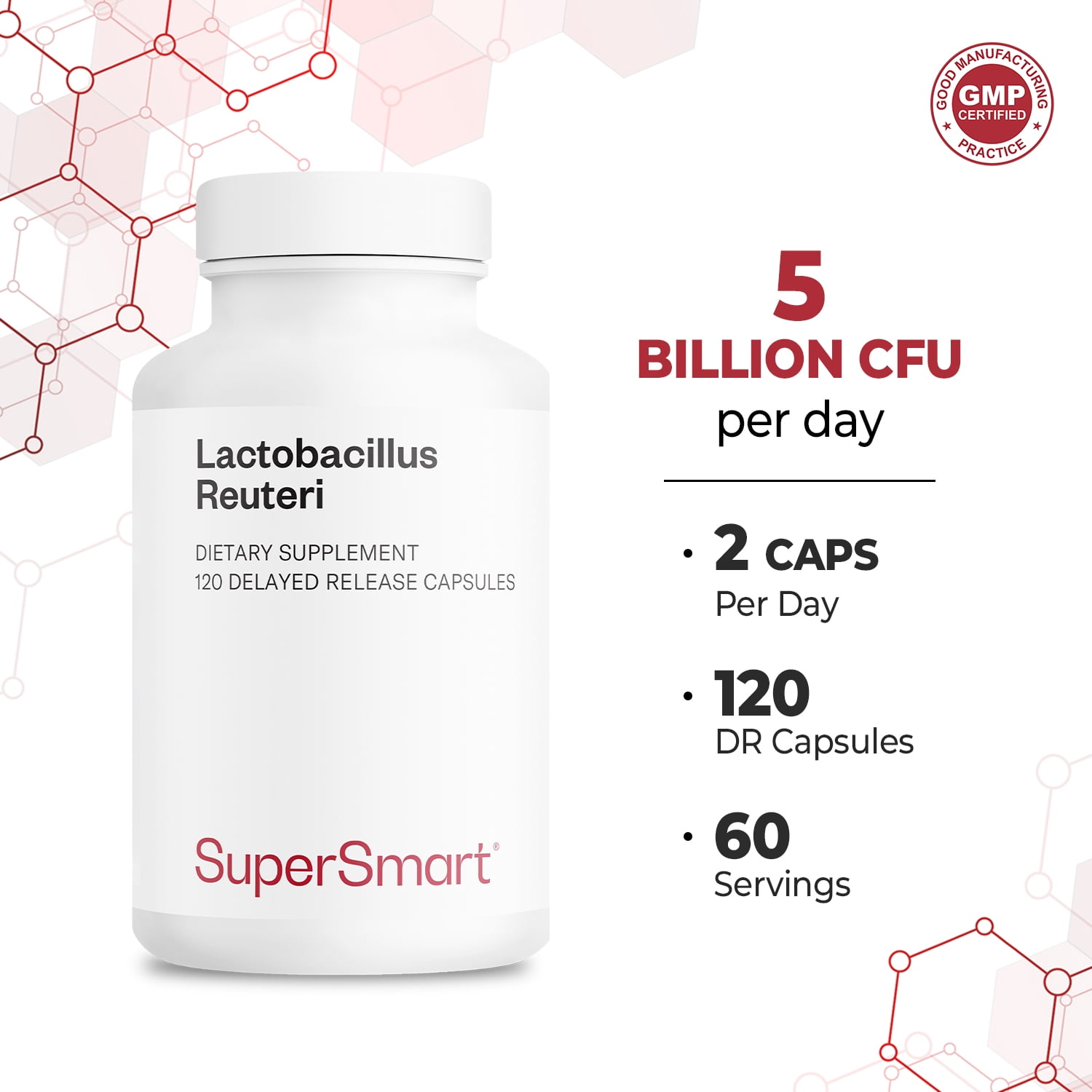 Supersmart - Lactobacillus Reuteri 5 Billion CFU per Day - Probiotic Supplement | Non-GMO & Gluten Free - 120 DR Capsules