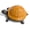 Orange, variant on Cast Iron Turtle Key Hider, Weatherproof Outdoor Hidden Key Box for Garden Yard Patio