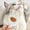 B, variant on Pet Comb Stainless Steel Pin Massage Brush for Cats and Dogs Detangling Shedding Hair Removal Grooming Tool Deshedding Styling Comb