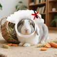 thumbnail image 3 of Chapeau Halloween Dumpling Jeu de Rôle Accessoire de Fête pour Chats et Chiots, 3 of 5