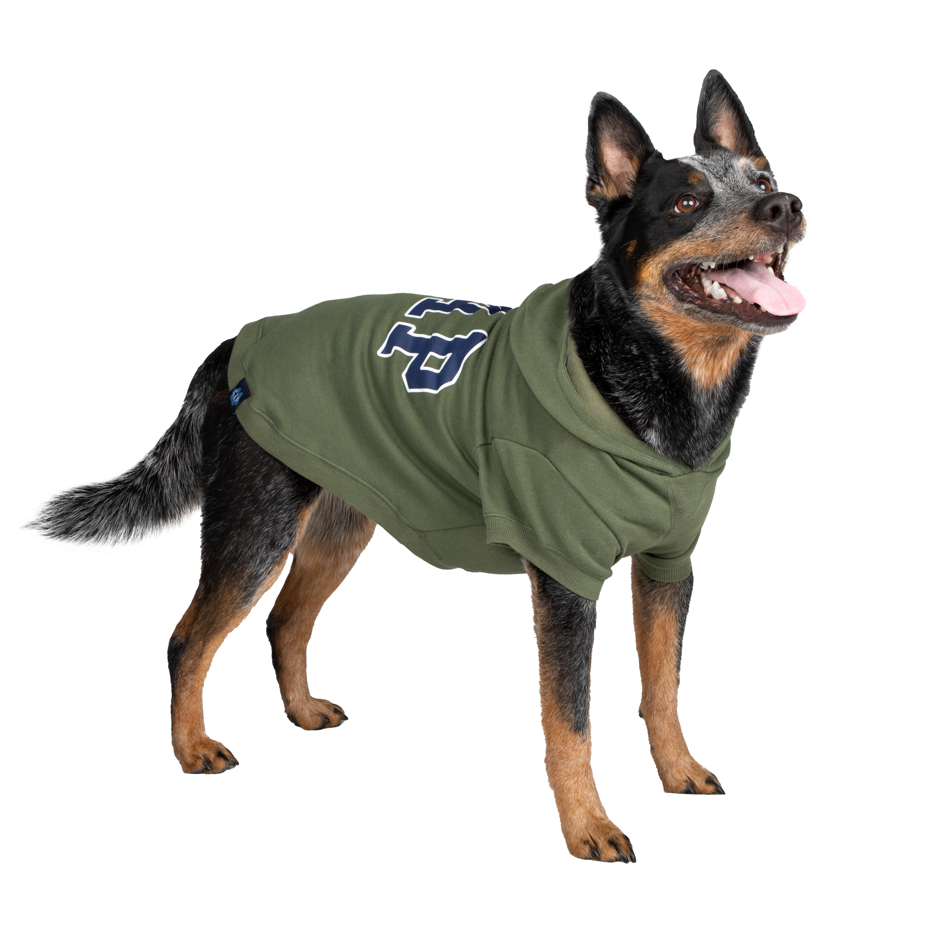 Gap Pet, Dog Clothes, Green Classic Pet Hoodie