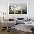 thumbnail image 2 of ARTCANVAS Common American Swan Canvas Art Print by John James Audubon - Size: 60" x 40" (1.50" Deep) (3-Piece), 2 of 9