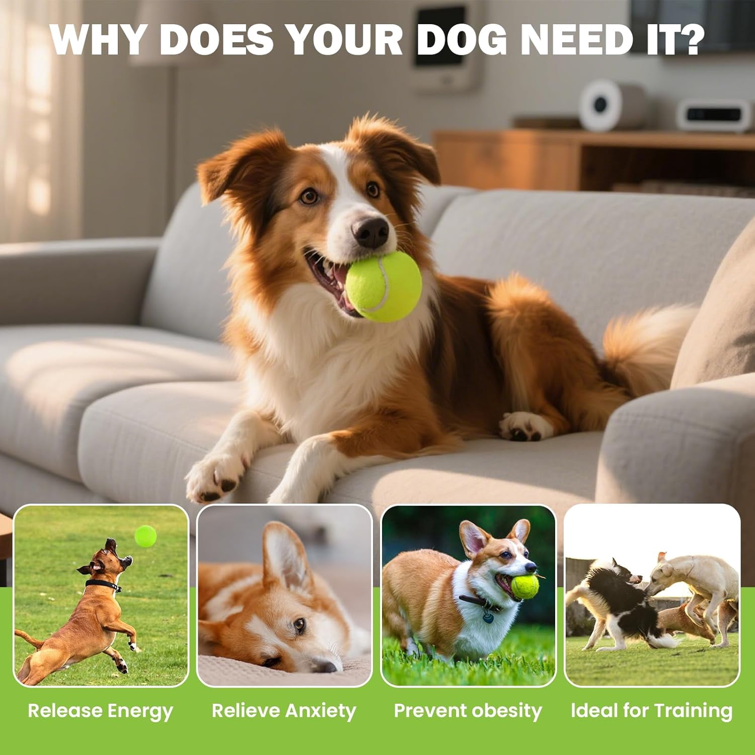 Tennis Balls, 80 Pack Bulk Tennis Balls Pressureless Tennis Ball, Come with Mesh Bag for Easy Transport, Pet Dog Playing Balls, Good for Beginner Training Ball