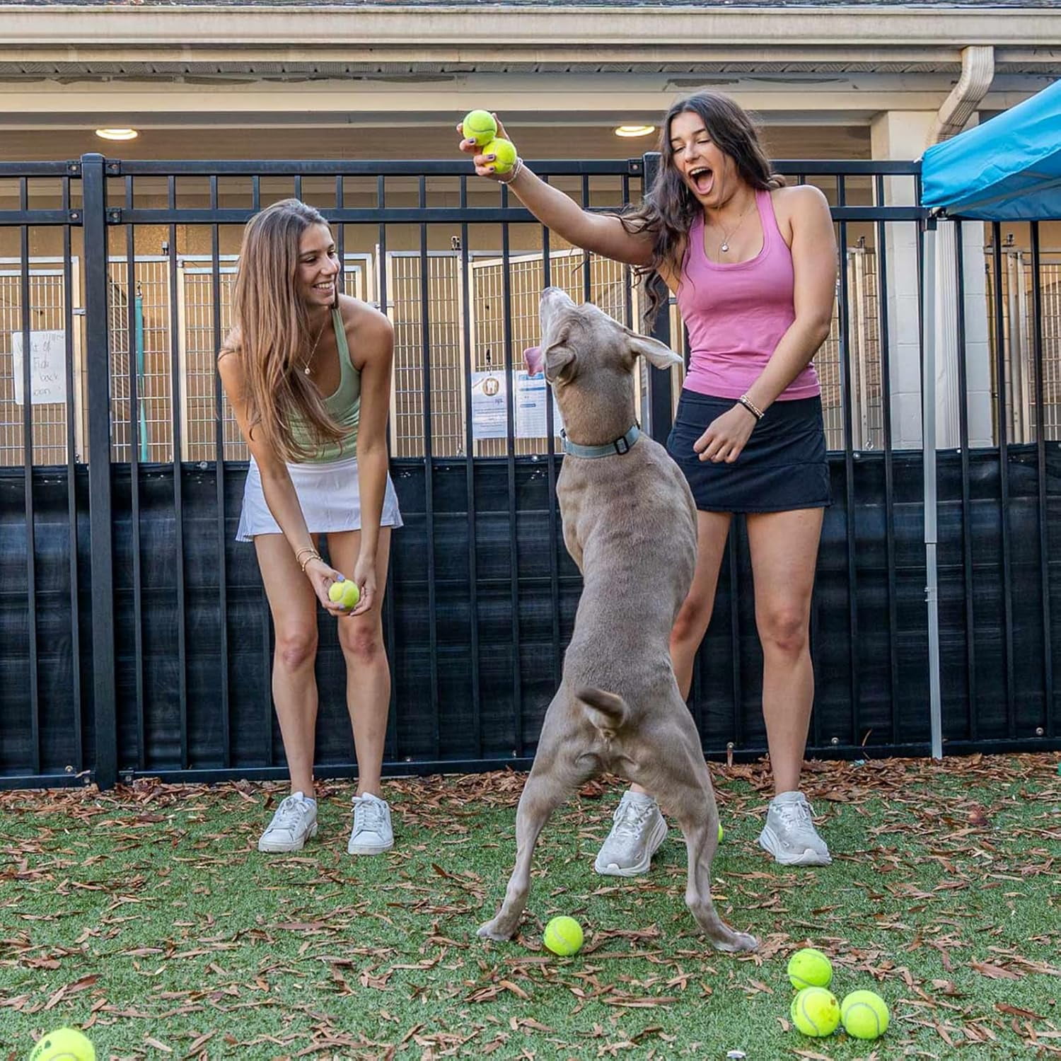 Bulk Tennis Balls for Beginner – 30/60/120 Pack High Elasticity Practice Tennis Balls with Mesh Bags, Portable for Pet Dog Outdoor Playing, Training, Fetching
