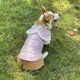 thumbnail image 4 of Chaqueta impermeable de invierno para perros, chaleco abrigado y cortavientos para perros, traje de nieve con orificio para arnés para perros y gatos pequeños, medianos y grandes (rosa, talla S)., 4 of 5