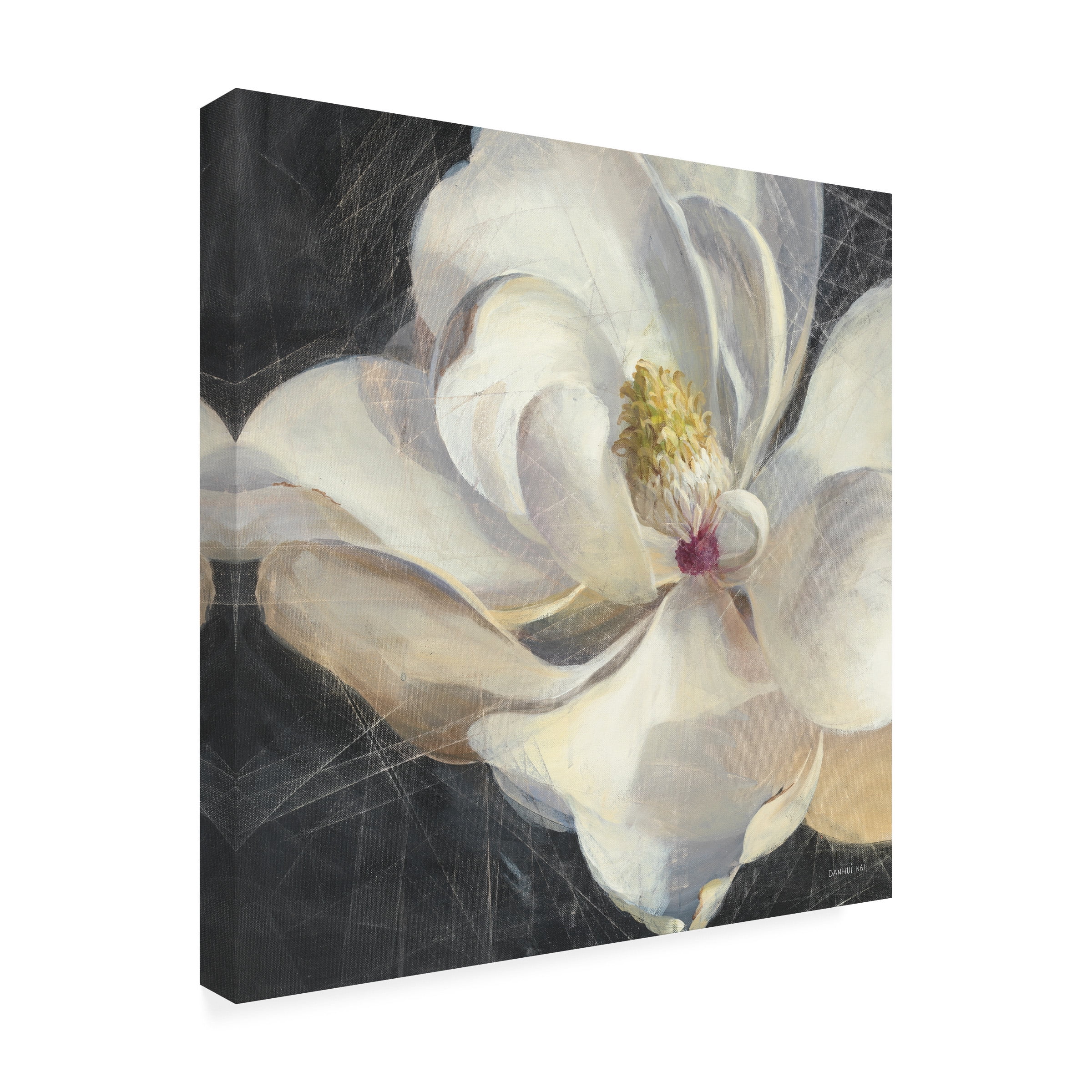 Trademark Fine Art 'Vivid Floral IV Crop' Canvas Art by Danhui Nai