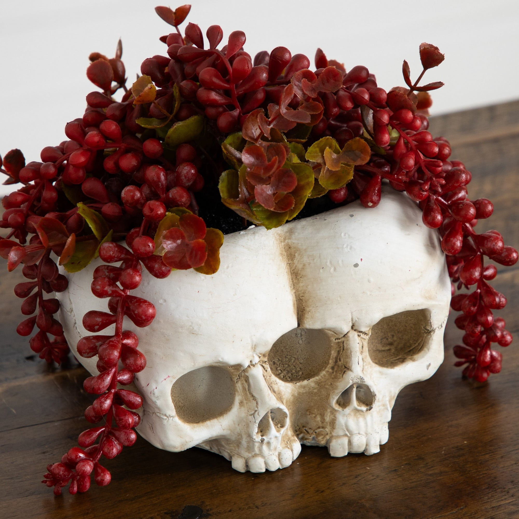 6in. Artificial Halloween String of Pearls in Double Skull Planter