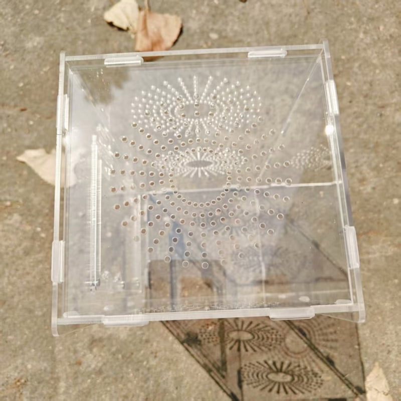 Zecic Clear Observation Terrarium Pet Enclosure Tanks For Jumping Spiders Mantises