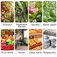 thumbnail image 5 of GJX Fly Trap Ball Indoor,Hanging Fly Bugs Sticky Ball Outdoor,Gnat Trap Ball for House Plants Kitchen Drain Yard Garden, 5 of 7