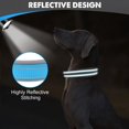 thumbnail image 4 of HAHDAXIA Neoprene Padded Dog Collar for Extra Large Dogs, 11 Colors, Reflective Wide Pet Collars with Durable Metal Belt Buckle, Adjustable Heavy Duty Nylon Dog Collar, Sky Blue, 4 of 6