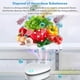 thumbnail image 4 of Fridge Deodorizer Mini USB Fridgerator Freashener Deodorizer Odor Eliminator Ozone Generator for Car Closet Wardrobe Toddler Pet Nest, 4 of 5