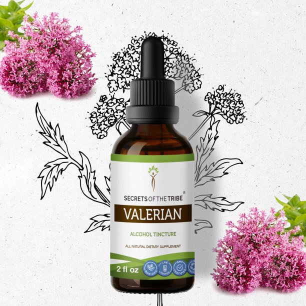 Valerian Tincture Alcohol Extract, Organic Valerian Valeriana