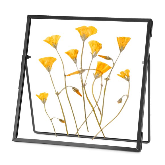 Marco de flores prensado de vidrio REDHUGO Doble Vidrio 10x10 cm