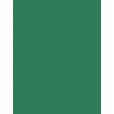 Bazzill Card Shoppe Heavyweight Cardstock 8.5"X11"-Evergreen