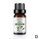 thumbnail image 1 of Aceites Esenciales 10 mL - Puros y Naturales - Aromaterapia Terapéutica HOT X7U7, 1 of 7