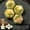 A3, variant on Memoir of Samuel Slater: The Father of American Manufactures (Paperback)