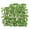 B, variant on Expandable Lattice Fence, Artificial Ivy Trellis Privacy Hedge Backdrop Accordion Fencing , Balcony, Deck, and Backyard Decor - Perfect Lush Greener