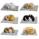 thumbnail image 5 of Muñeco de peluche de perro adorable que emite sonidos, lindo cachorro de perro durmiendo sobre una colchoneta, artículo de decoración y manualidades de peluche, 1 perro durmiendo con una colchoneta, 5 of 5