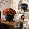 thumbnail image 4 of MYUNNIL Black Witch Cauldron Planter, Vintage Resin Cauldron Ornament with Dual Handles & Four Legs, Multipurpose Halloween Gothic Decor Bowl for Tabletop Shelf Home, 4 of 8