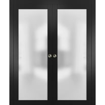 Sliding Double Pocket Door 56 x 80 inches Frosted Tempered Glass