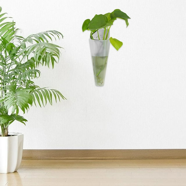 unbranded 4Ud Jarrones Transparentes Para Propagación De Plantas Con Para Hogar
