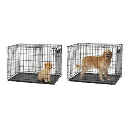 outdoor kennel walmart blue beagle large kennel one door walmart outdoor kennel walmart blue beagle large kennel one door walmart