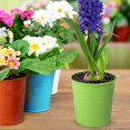 thumbnail image 5 of Juego de 6 macetas colgantes de metal para interiores con gancho desmontable para decoración de jardinería, varios colores, 5 of 5