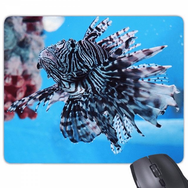 Trapical Fish Marine Organism Ocean Animal Mouse Pad Non-Slip Rubber Mousepad Game Office