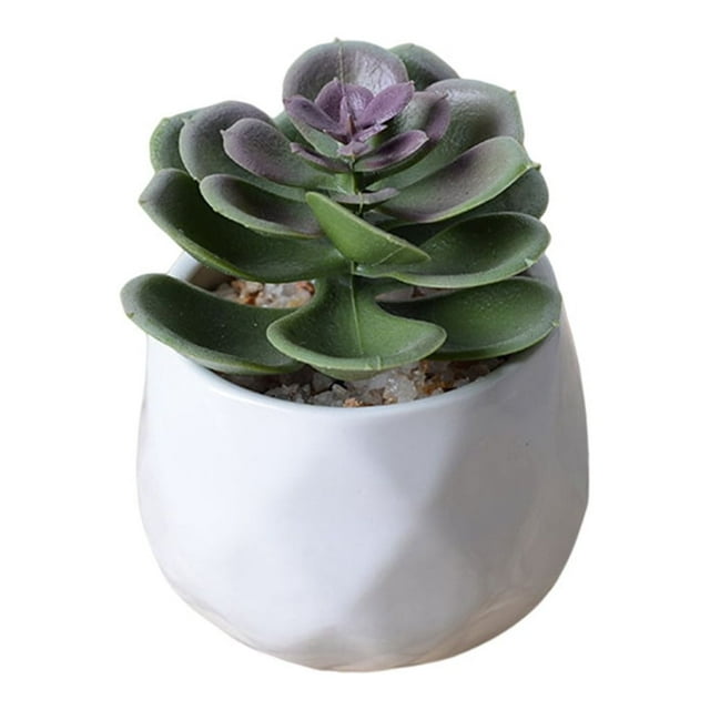 Matsuzay Simulación de plantas suculentas artificiales, bonsái, flor falsa con maceta, paisaje en maceta para adornos de de fiesta en casa Decoración tipo 1