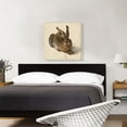 thumbnail image 2 of ARTCANVAS Young Hare 1502 Canvas Art Print by Albrecht Durer - Size: 26" x 26" (0.75" Deep), 2 of 9