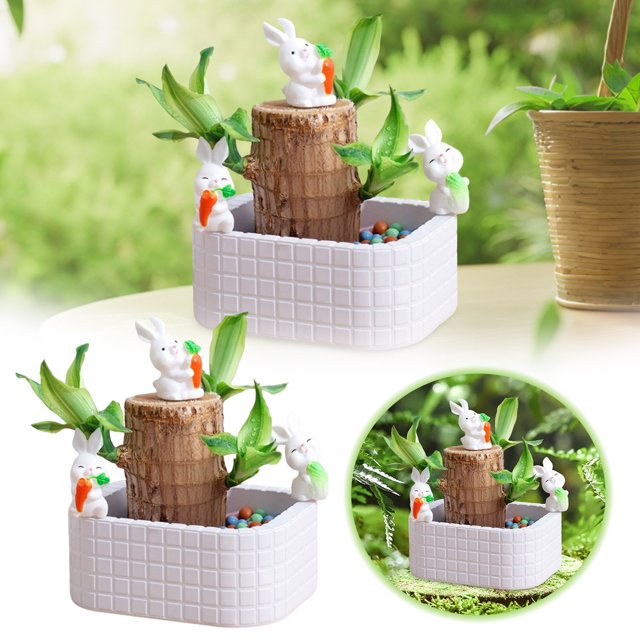 Desktop Ornament,Brazilwood Easy To Grow Indoor Tabletop Hydroponic Planter Green For Home And,Home Decor
