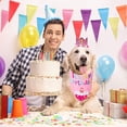 thumbnail image 3 of Traje de fiesta de cumpleaños para perros Traje de fiesta de cumpleaños para perros, 3 of 5