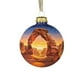 thumbnail image 1 of Ireezec Natural Wonders ries Christmas Ball Flat Acrylic Ornament Hanging Pendant for Holiday Tree Decorations Winter Festival Home Party Decorative Gift, 1 of 2