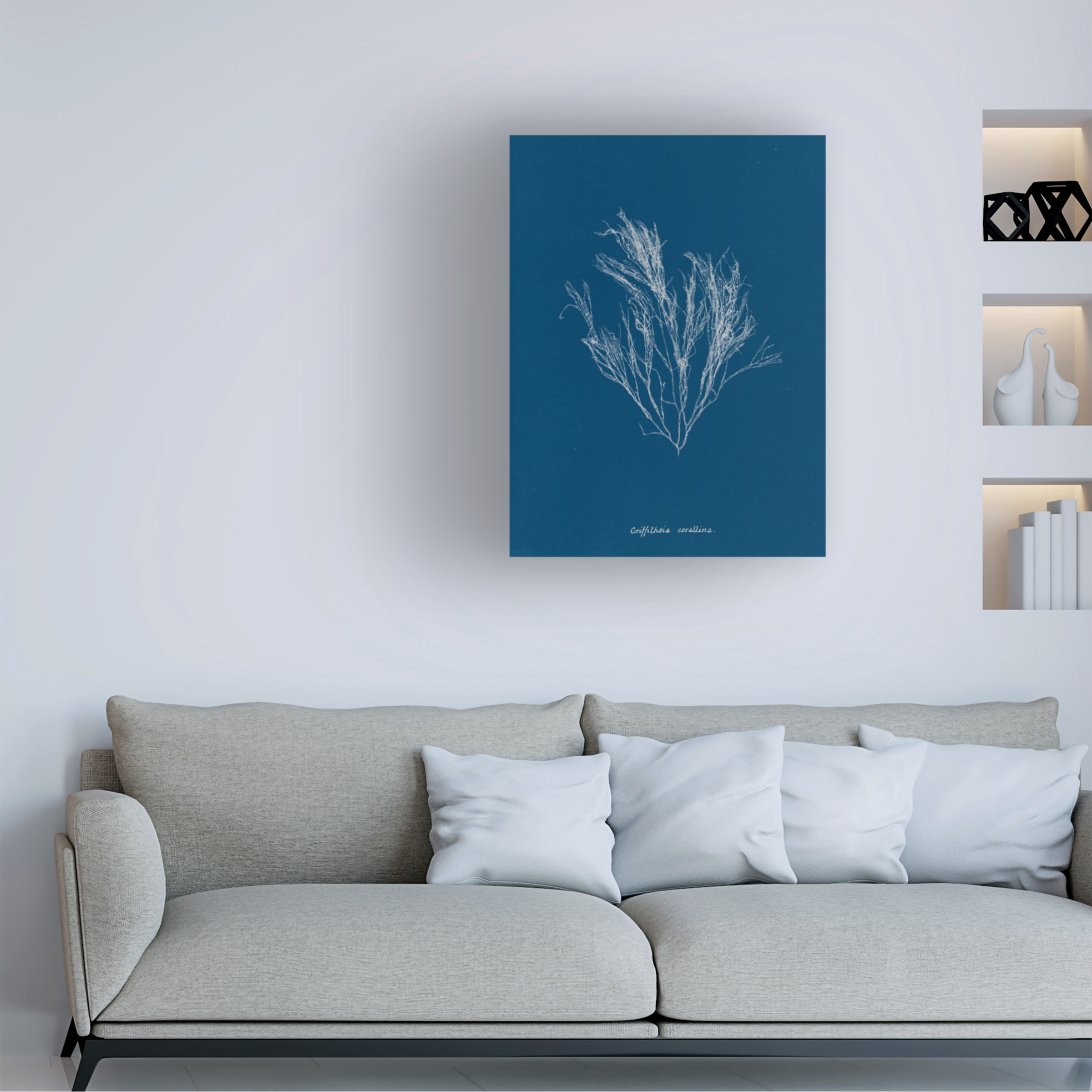 Trademark Fine Art 'Delicate Coral III' Canvas Art by Wild Apple Portfolio