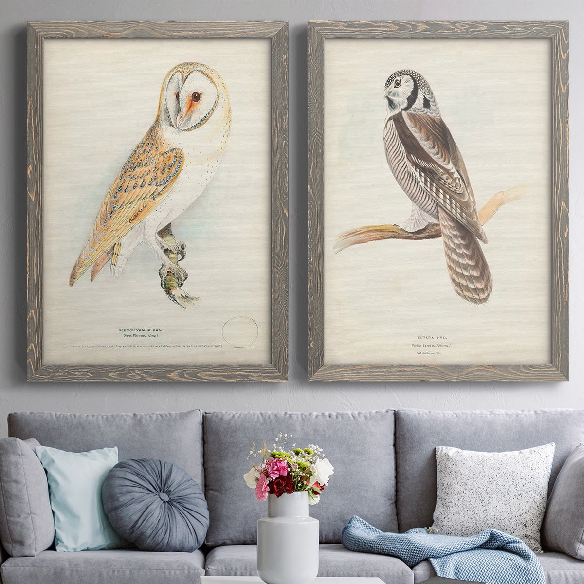 Barn Owl - Premium Framed Canvas 2 Piece Set - Ready to Hang