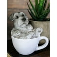 thumbnail image 5 of Realistic Mini Adorable Schnauzer Teacup Statue 3"H Pet Pal Dog Breed Figurine, 5 of 6