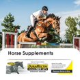 thumbnail image 3 of 6G(A) Horse Supplement, 3 of 8