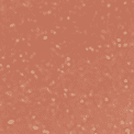 170 Luminous Coral