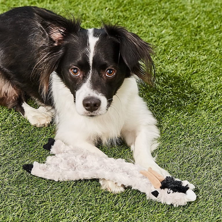 Stuffing-Free Crinkle and Squeaker Dog Toy, Goat Design photo 4