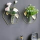thumbnail image 1 of Jarrón de cristal para colgar en la pared | Maceta hidropónica para decoración de pared | Decoración de fondo para sala de estar | Diseño con gancho de hierro y clavos incluidos, 1 of 2