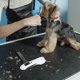 thumbnail image 4 of unbranded Kit De Cortapelos Para Perros Con Trimmer Y Nivel De Vibración, 4 of 8