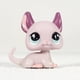 thumbnail image 5 of CWM Pet Shop Animal Lindo gato muñeca figura de acción gatito, 5 of 5